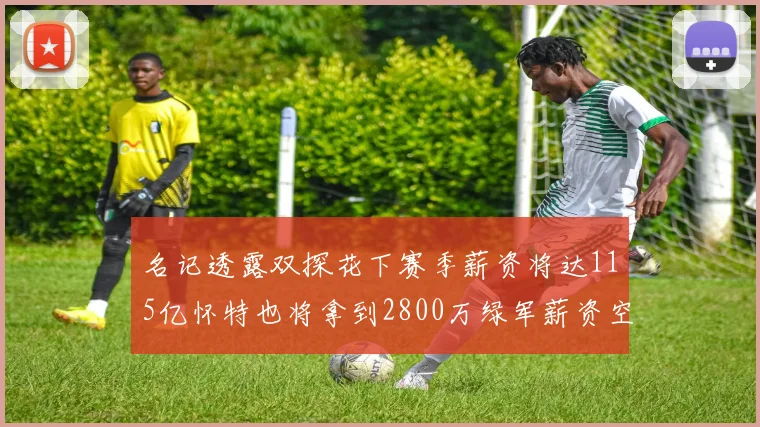 名记透露双探花下赛季薪资将达115亿怀特也将拿到2800万绿军薪资空间依旧紧张
