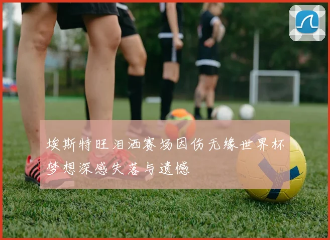 埃斯特旺泪洒赛场因伤无缘世界杯梦想深感失落与遗憾